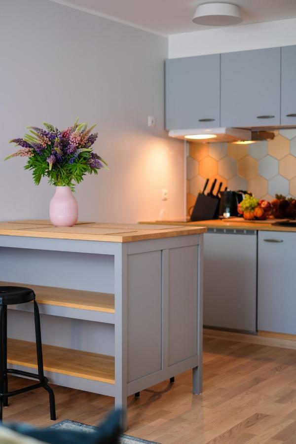 Ohtu Poik 2 City Center Basement Apartment Παρνού Εξωτερικό φωτογραφία