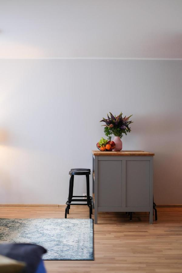 Ohtu Poik 2 City Center Basement Apartment Παρνού Εξωτερικό φωτογραφία